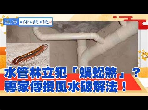 冷氣管蛇煞化解|【蛇煞影響】蛇煞影響！家裡的蛇煞怎麼辦？延長線家電擺放需留。